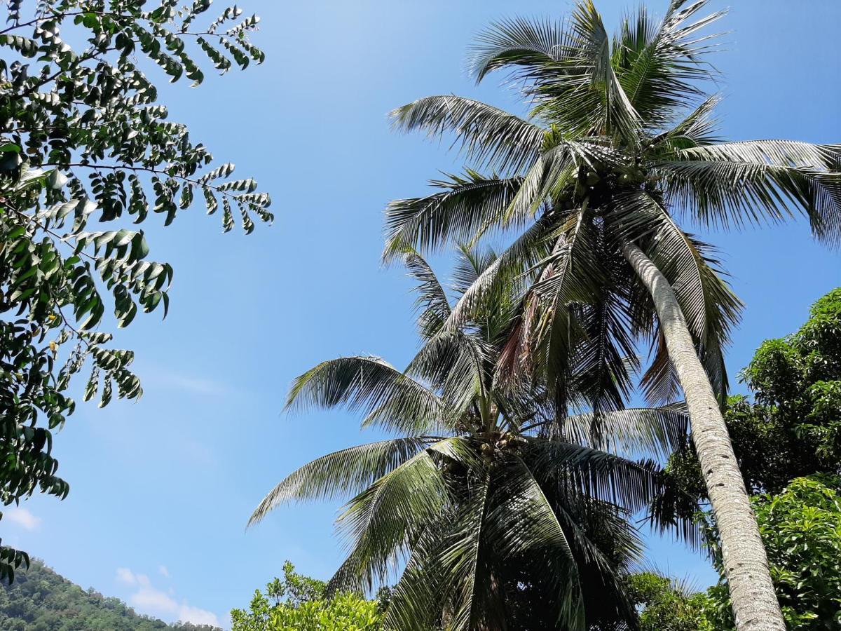 Lalanga Homestay Kandy Exteriör bild